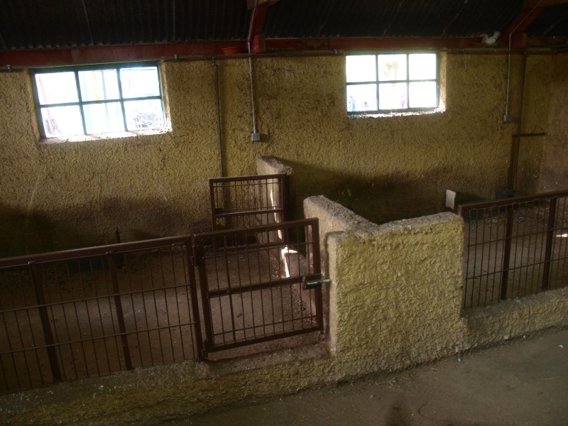 Petting zoo - empty pig pens (April 19th, 2015)