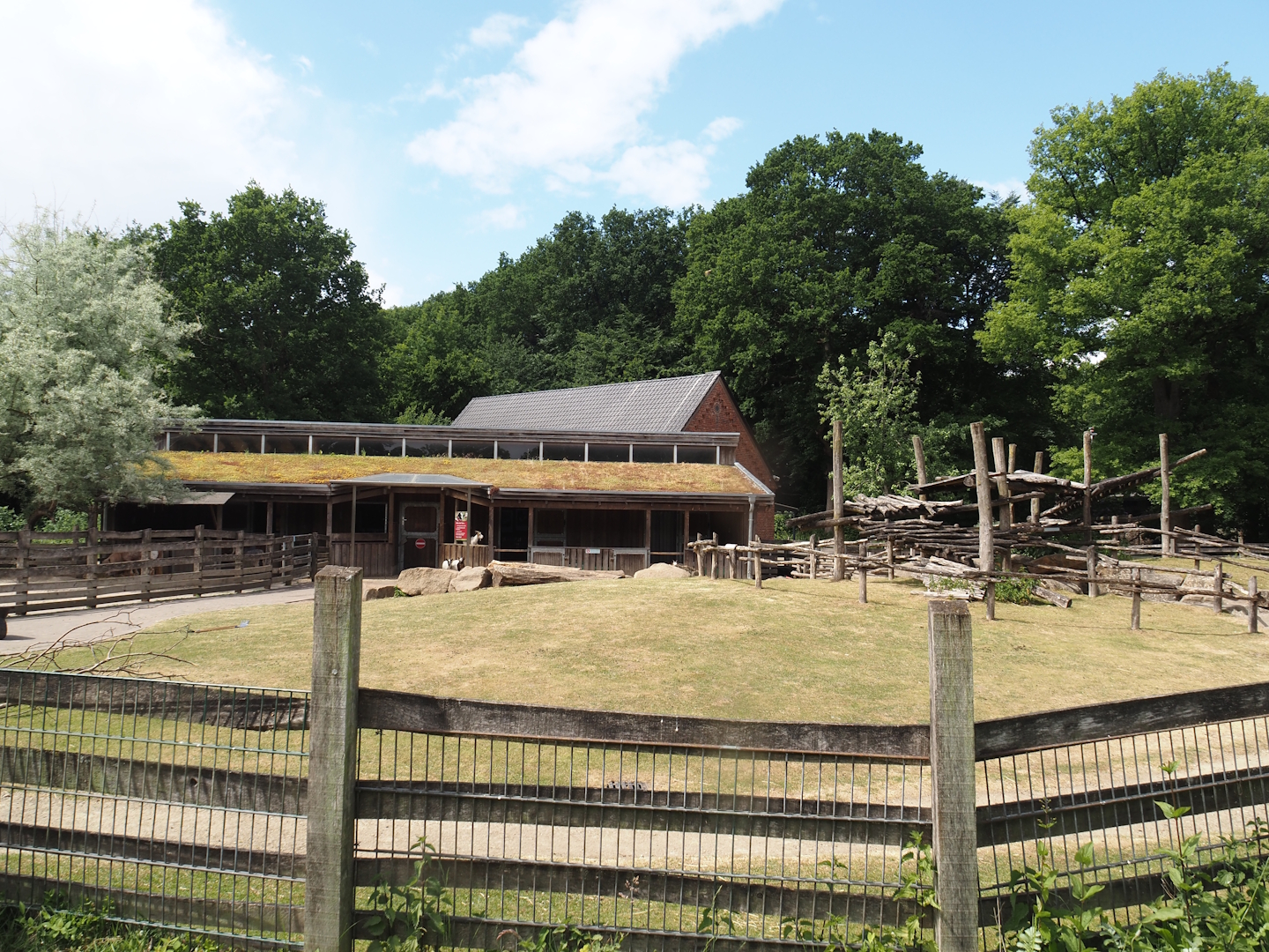 Petting Zoo - Goat paddock, 2025-05-22