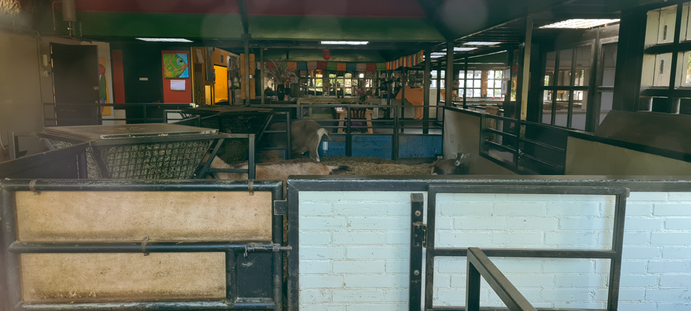 Petting zoo - indoor area