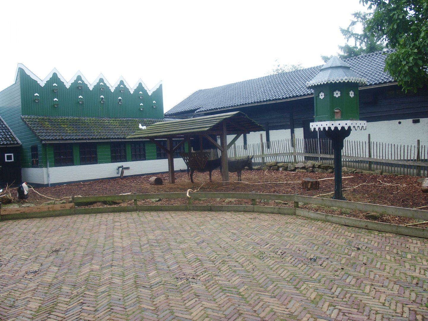 Petting zoo paddock, 2015-07-19