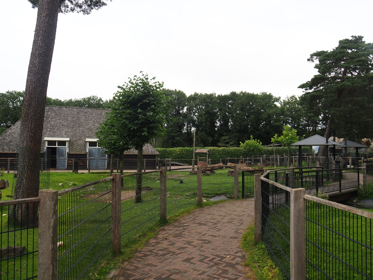 Petting zoo paddock, 2023-08-17