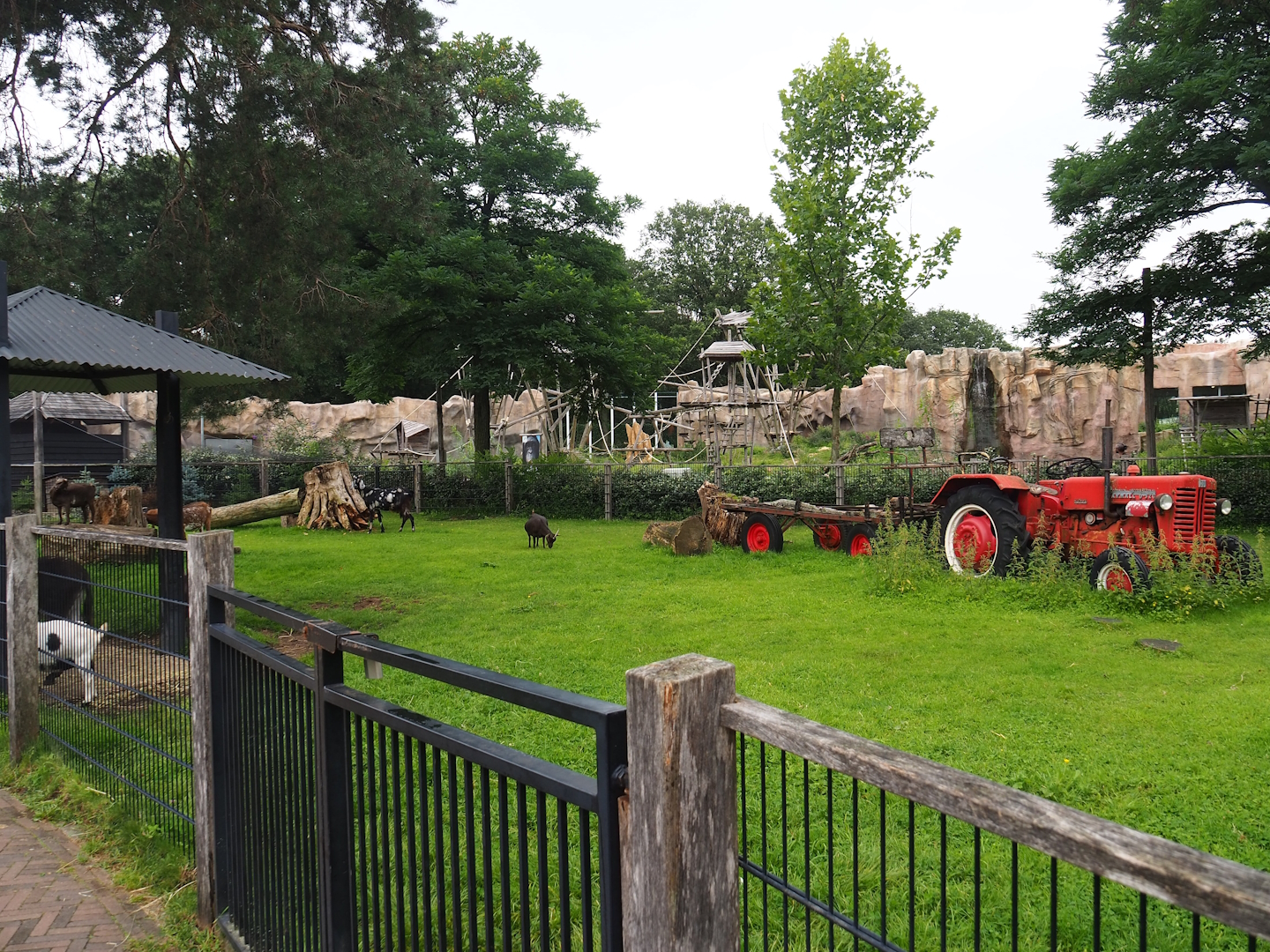 Petting zoo paddock, 2023-08-17