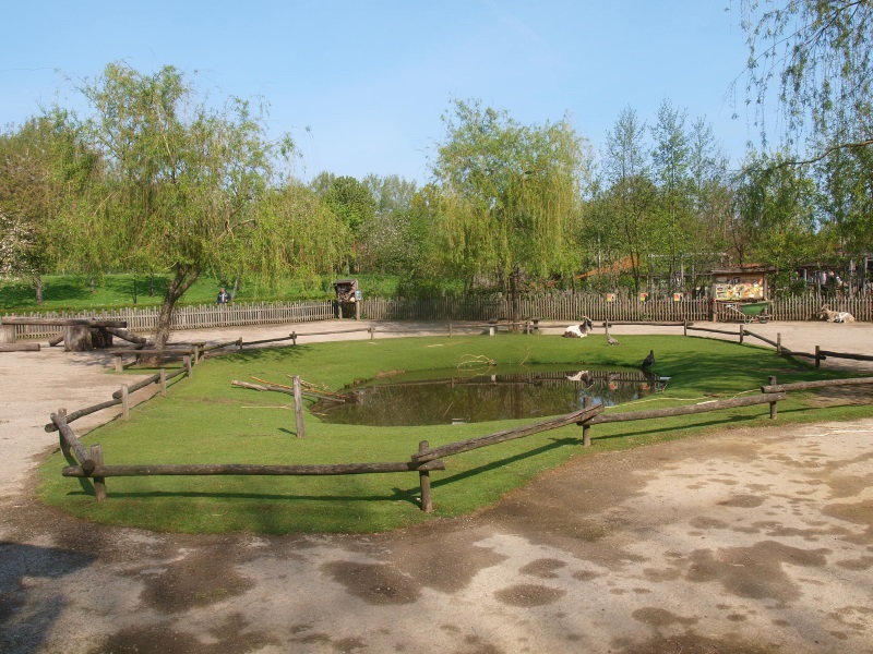 Petting zoo paddock (May 2nd, 2015)