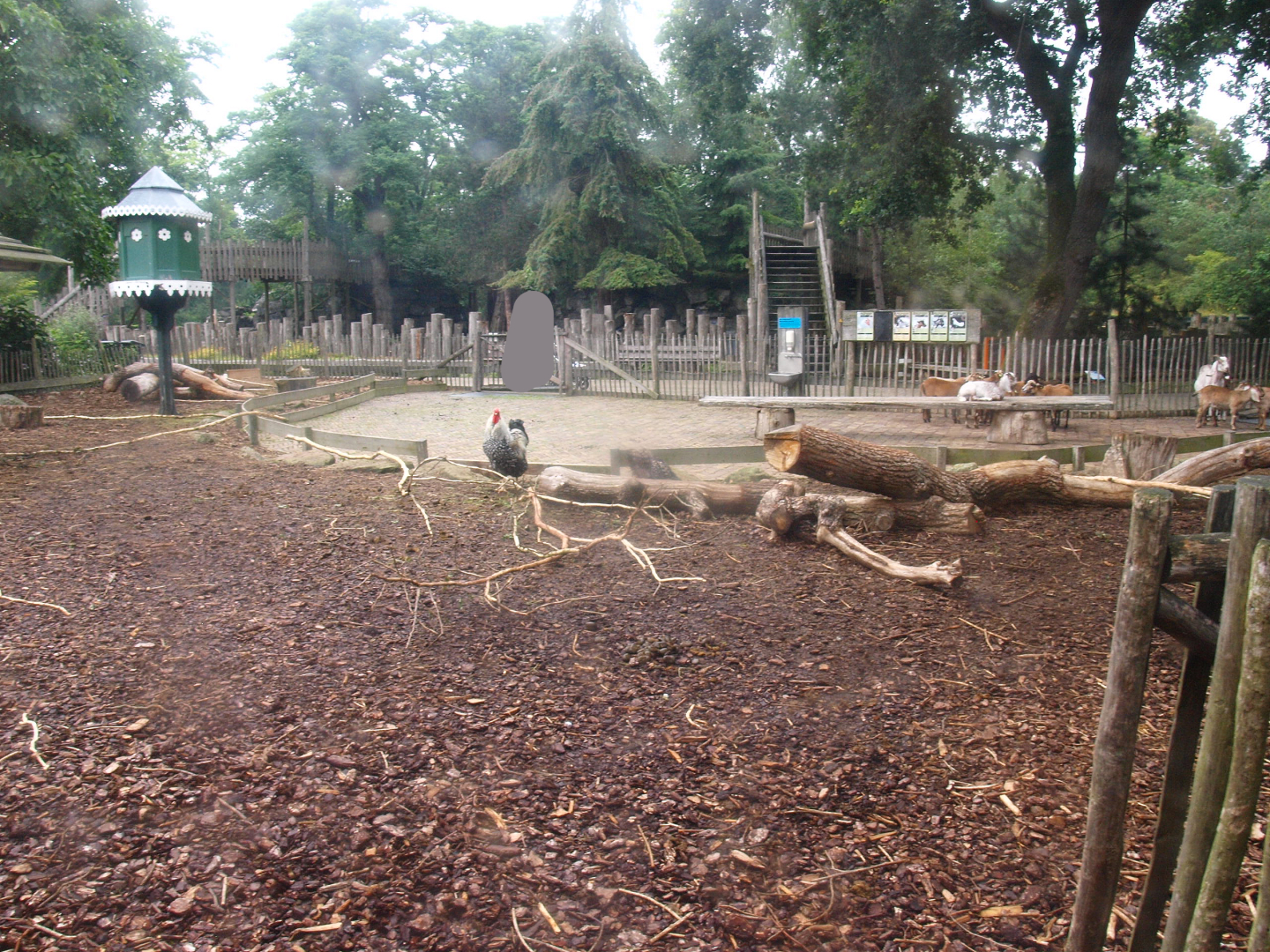 Petting zoo paddock, seen from inside the petting zoo building, 2015-07-19
