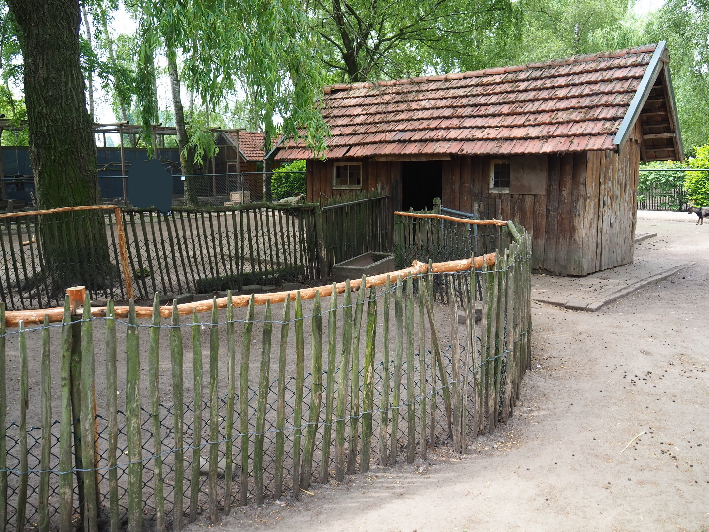 Petting zoo paddock with goats, chickens and crowned cranes - Separation area and barn, 2019-05-25