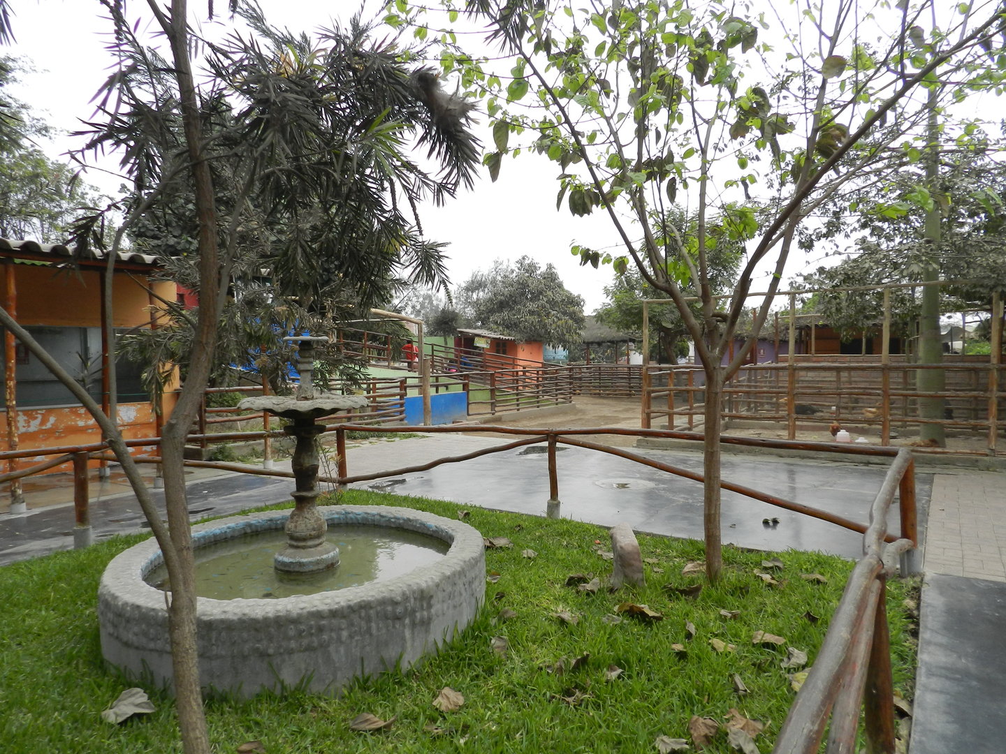 Petting zoo - Parque Zoológico Huachipa