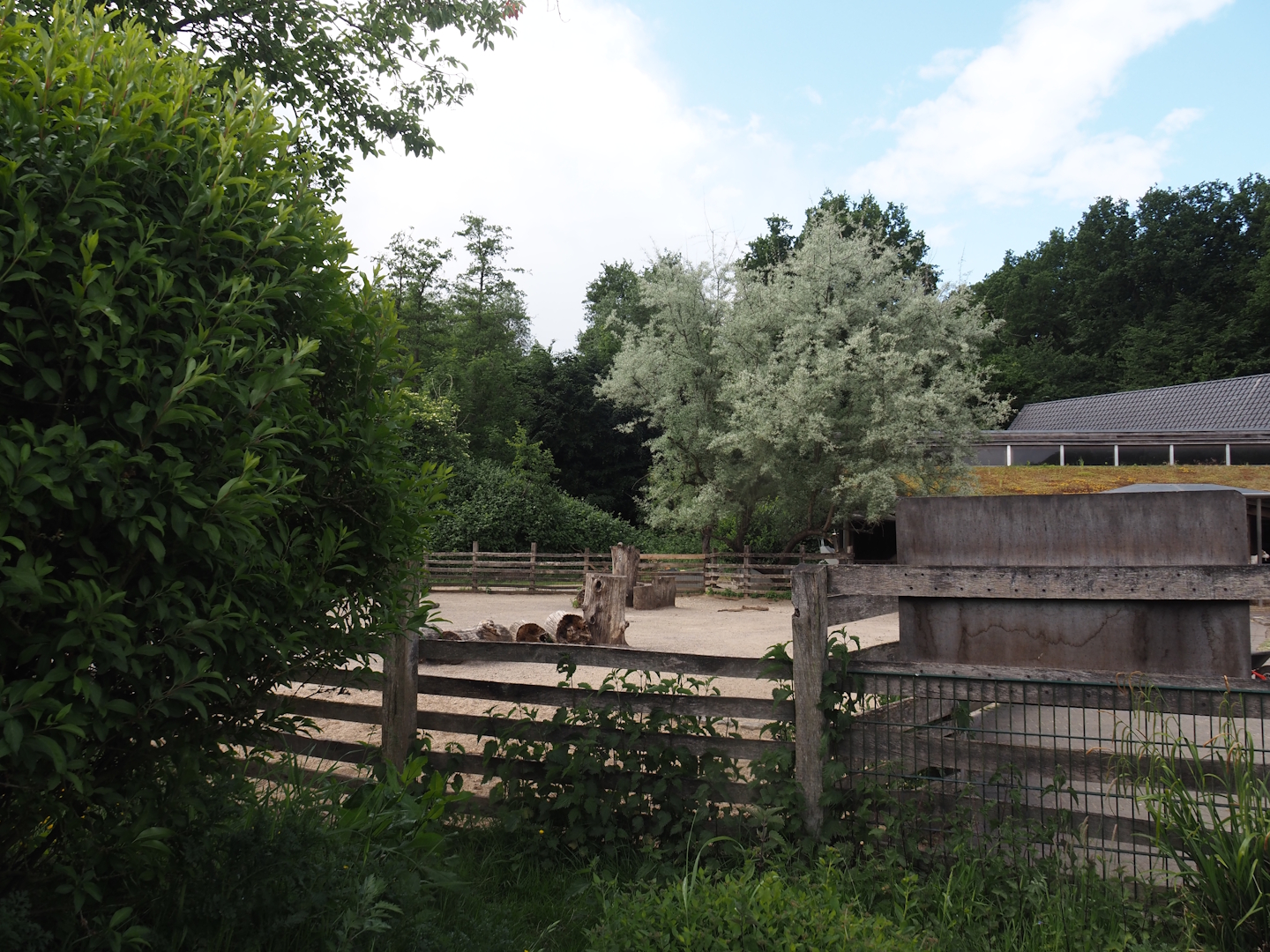 Petting zoo - Pony paddock, 2025-05-22