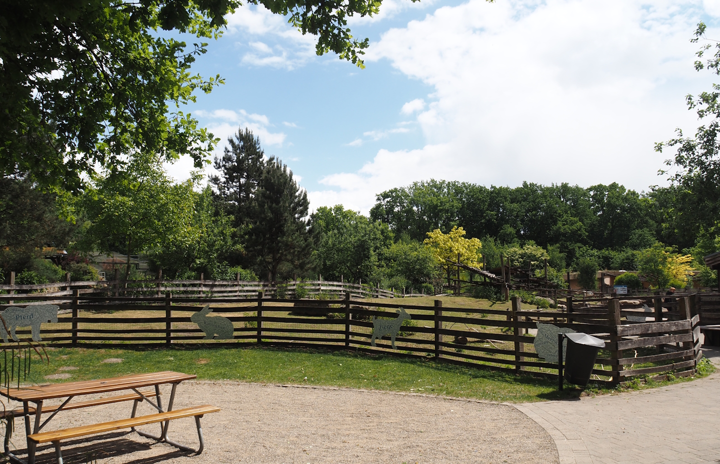 Petting zoo - Pygmy goat paddock, 2025-05-22
