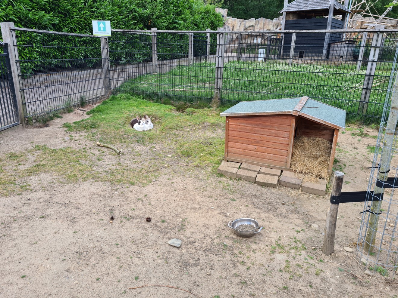 Petting zoo - Rabbits