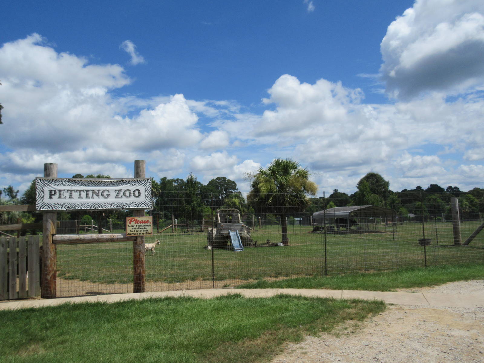 Petting Zoo