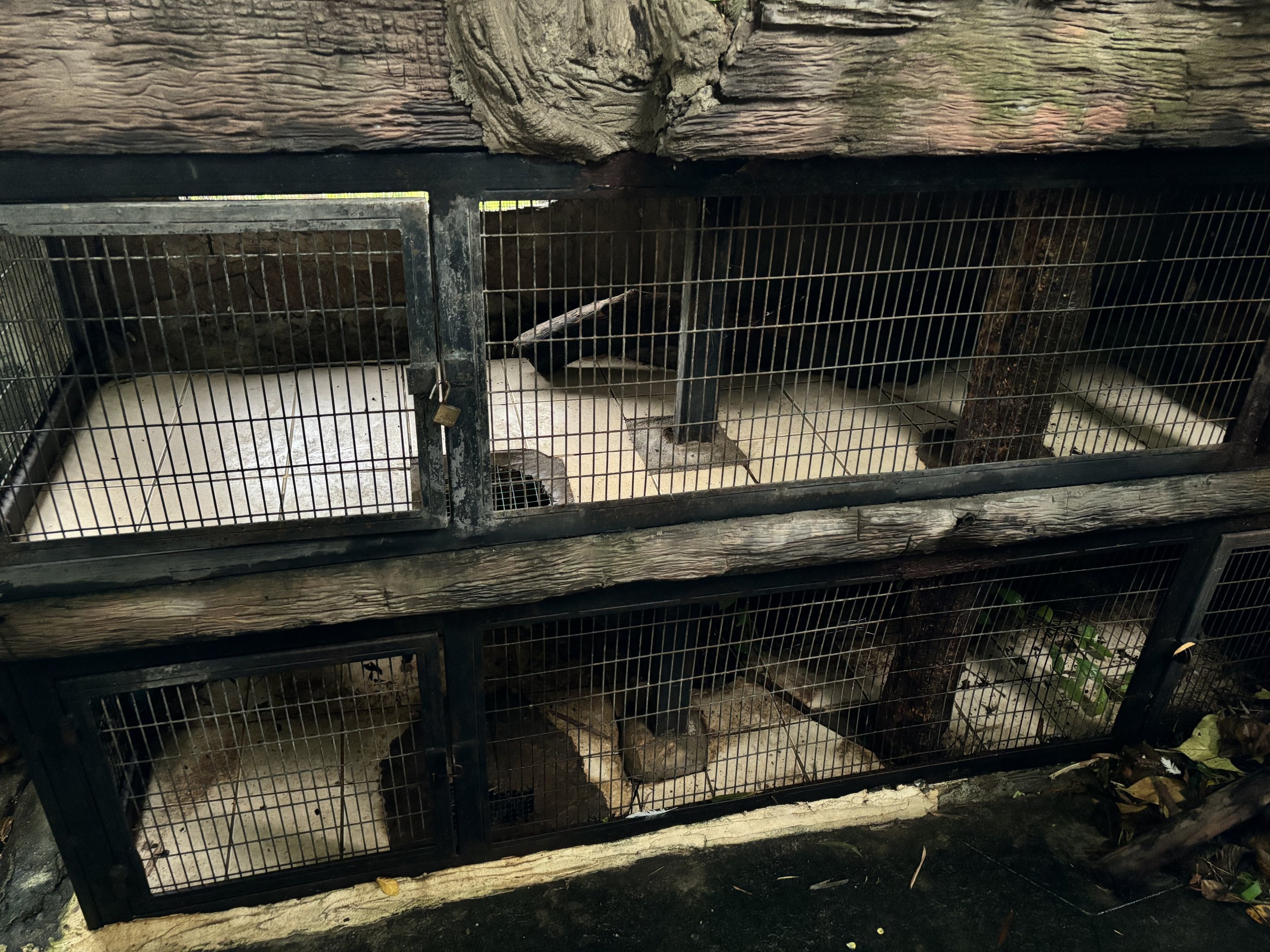 Peuan Deratchan Zoo - empty exhibits