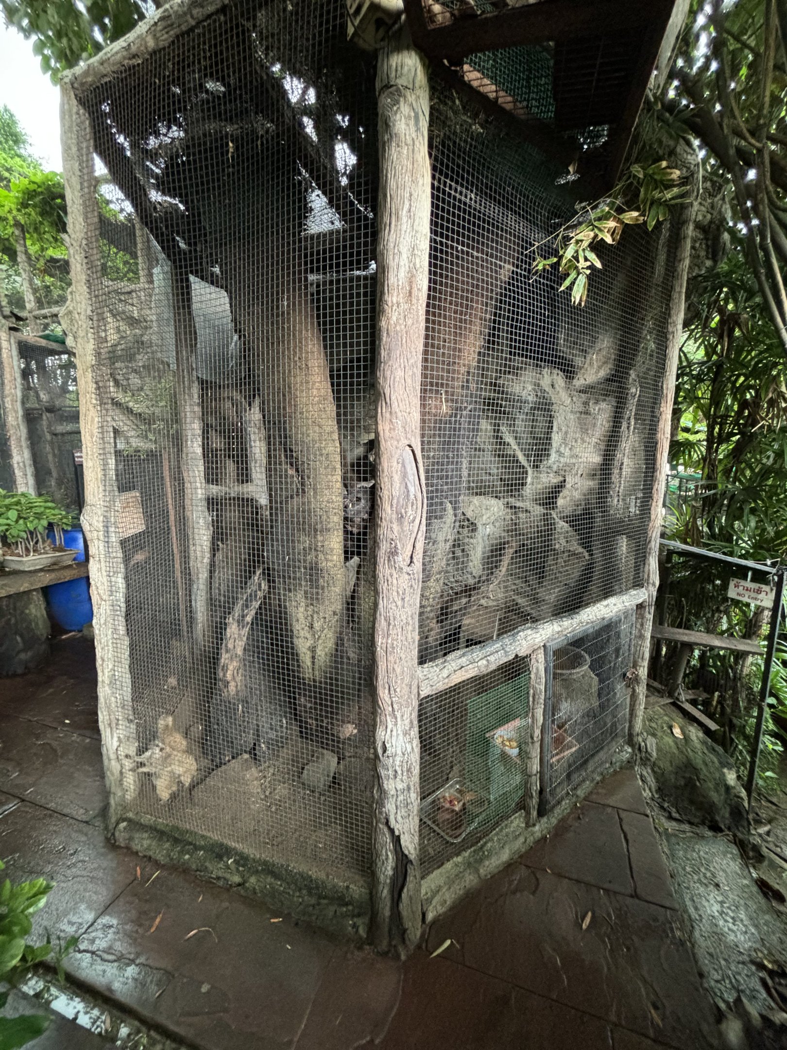 Peuan Deratchan Zoo - Meerkat Exhibit