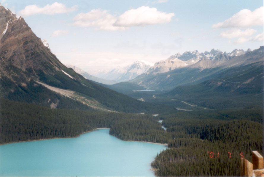 Peyto Lake, Canadian Rockies, July 2001