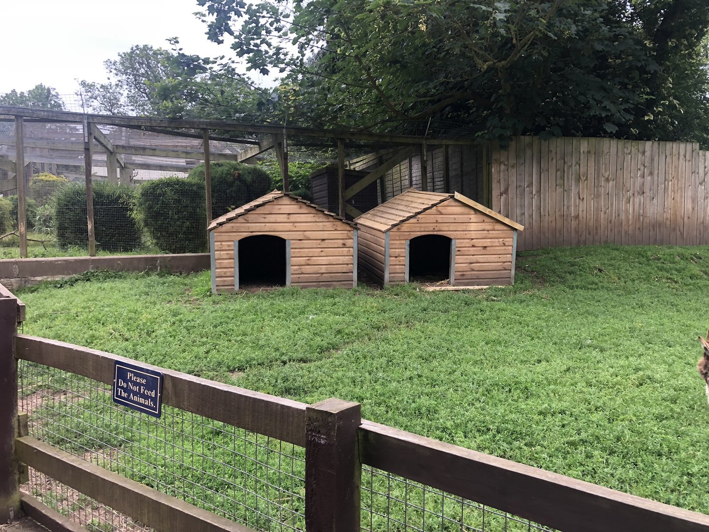 Pgymy Goat Shelters at Sewerby Zoo (June 2023)