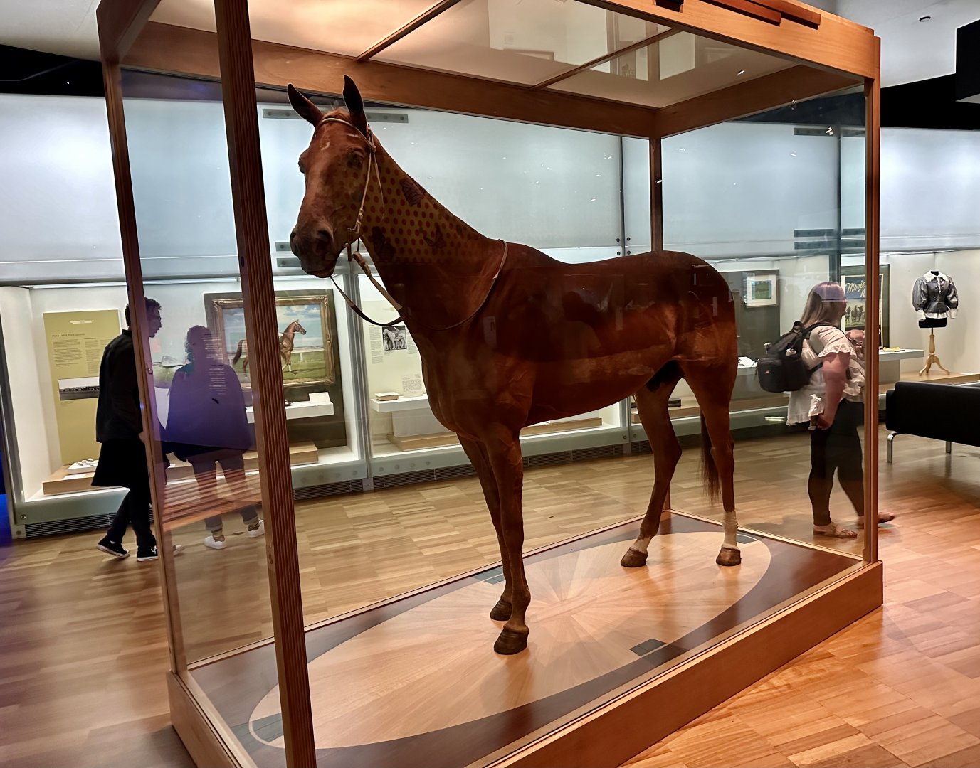 Phar Lap (Famous Australian Racehorse)