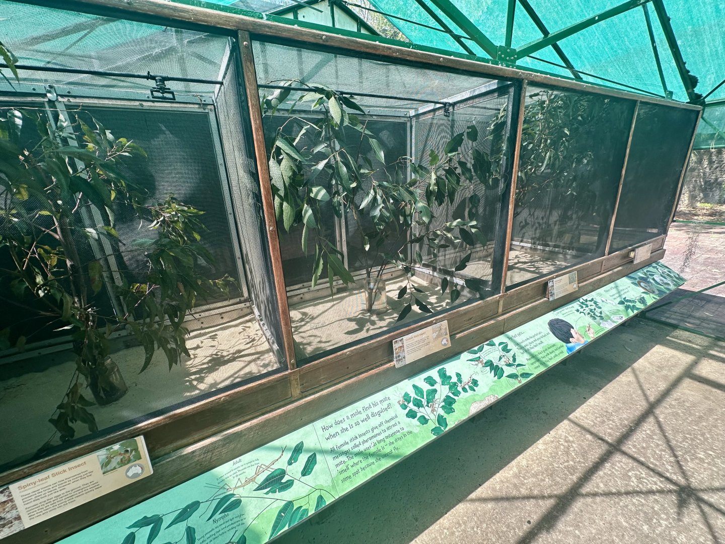 Phasmid Greenhouse (Interior)