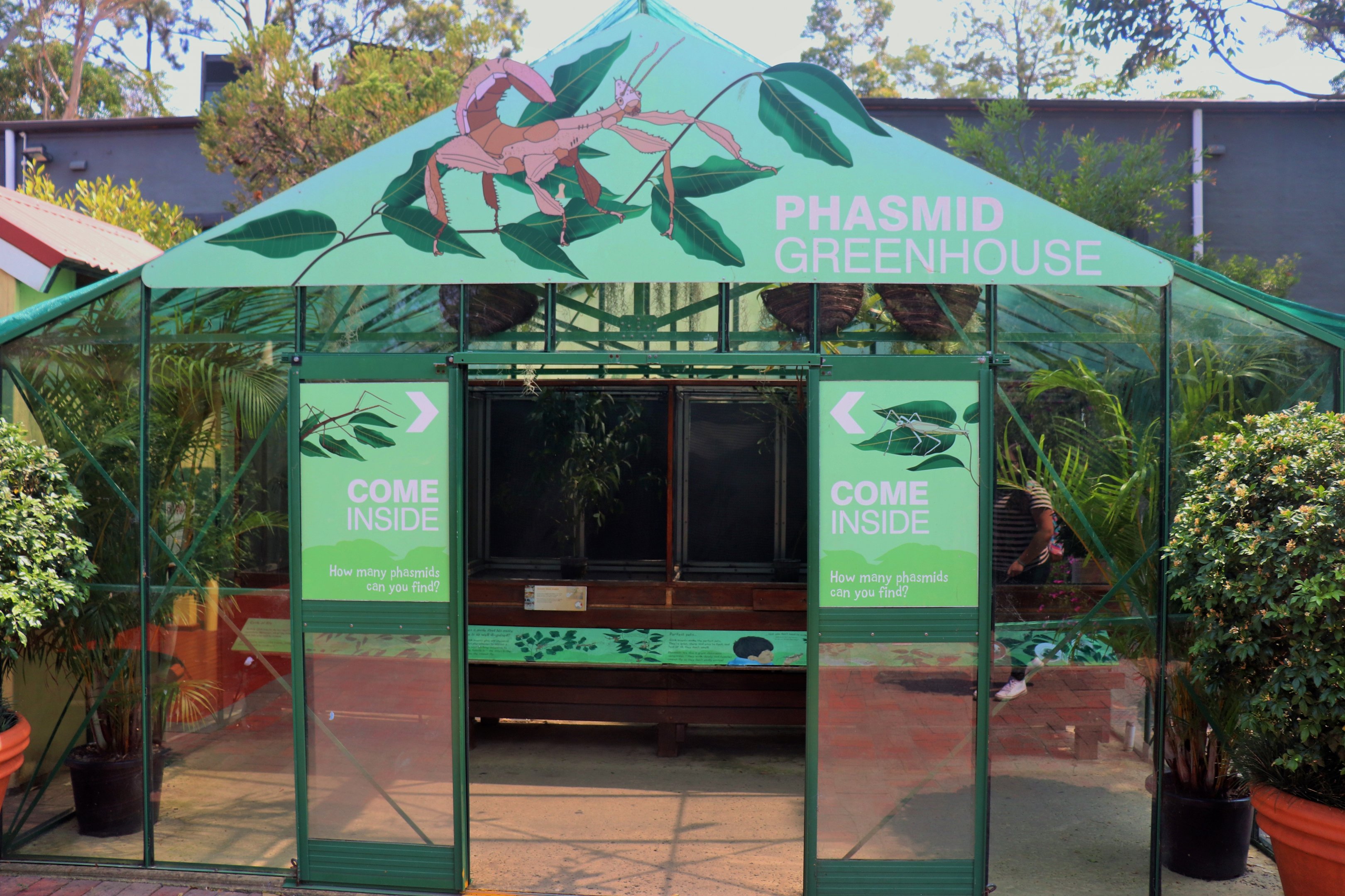Phasmid Greenhouse