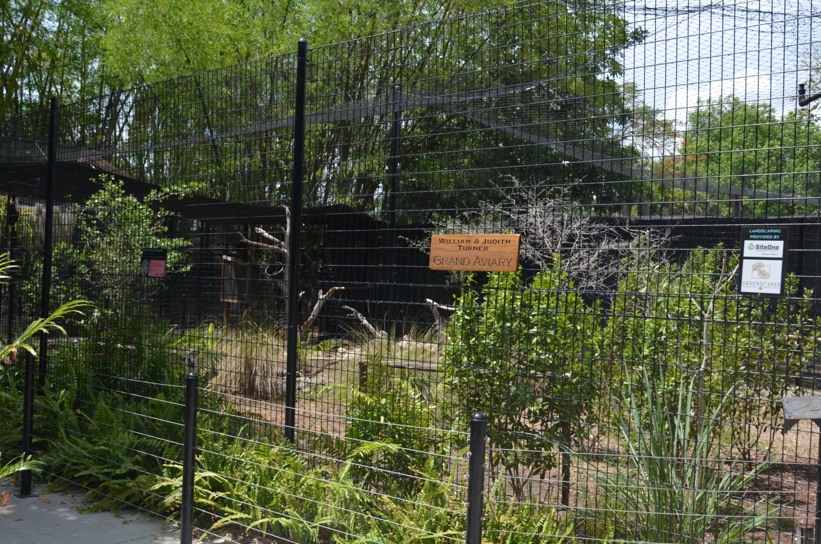 Pheasant and Curassow Yard