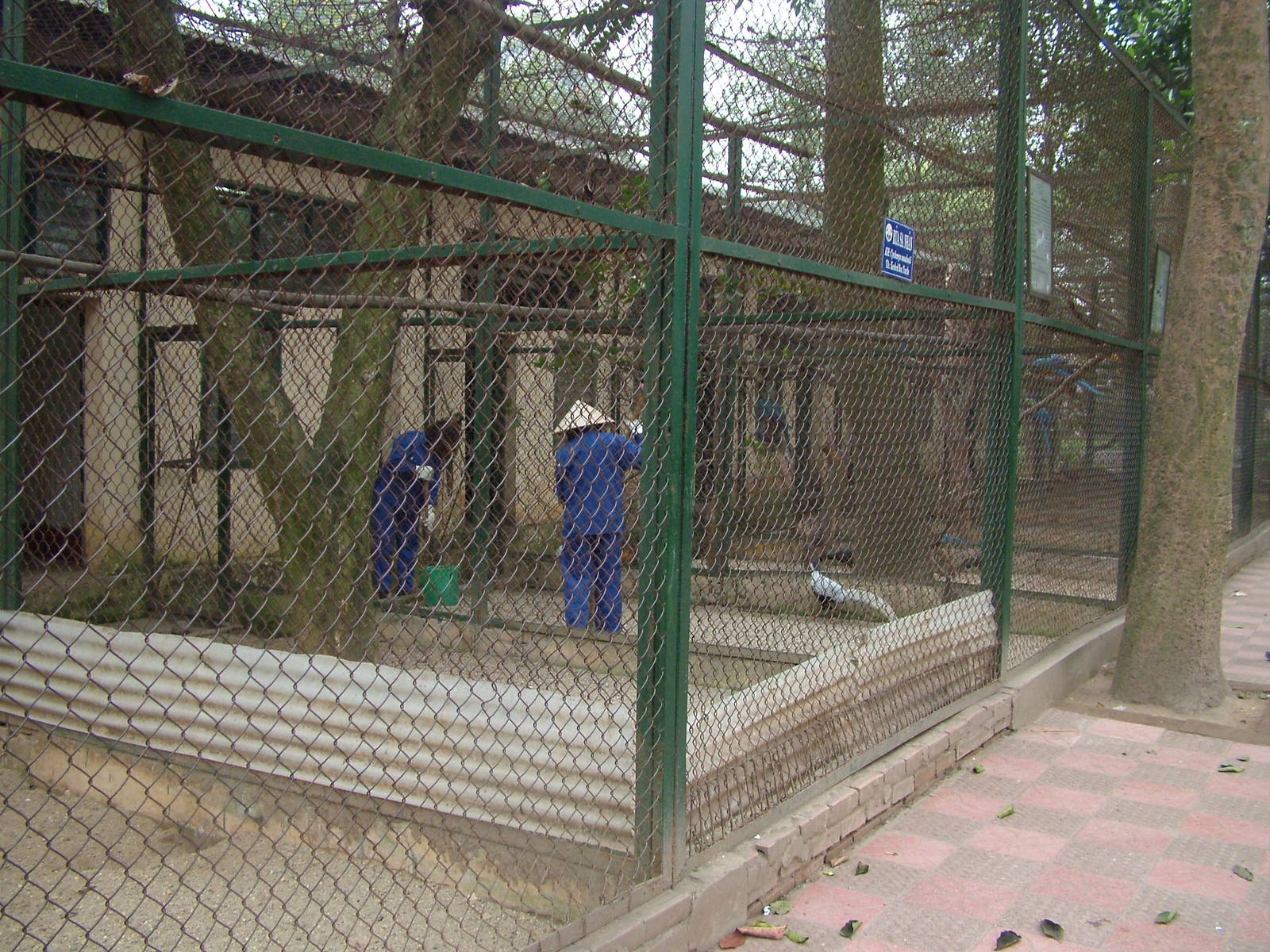 Pheasant and Parrot Aviaries at Hanoi Zoo, 15/03/12