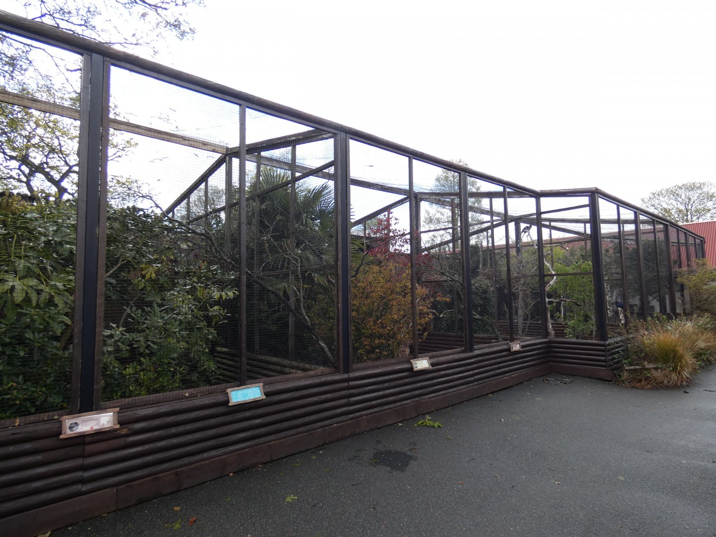 Pheasant and Passerine aviaries (former owl aviaries)