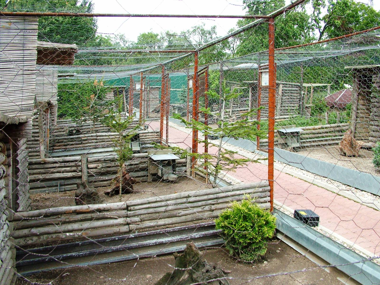 Pheasant Aviaries at Autocentrum Boura (Dymokury), 26/08/12