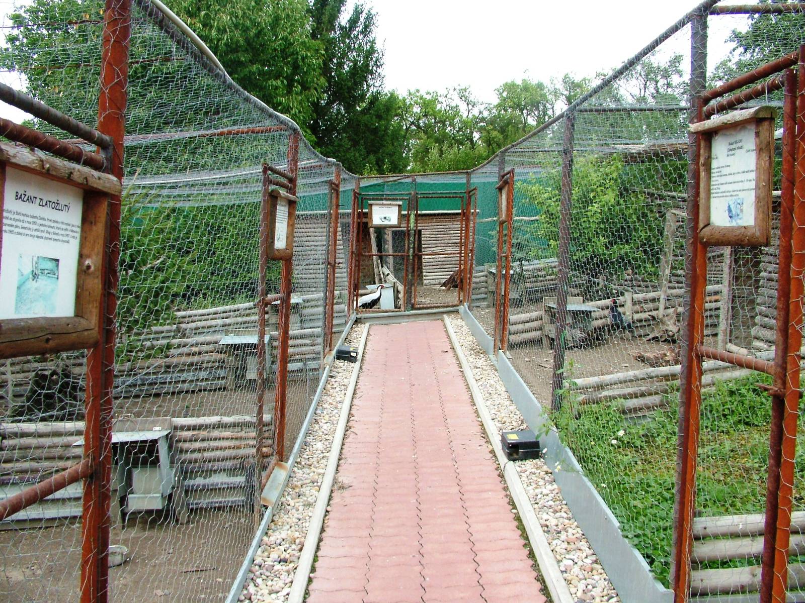 Pheasant Aviaries at Autocentrum Boura (Dymokury), 26/08/12