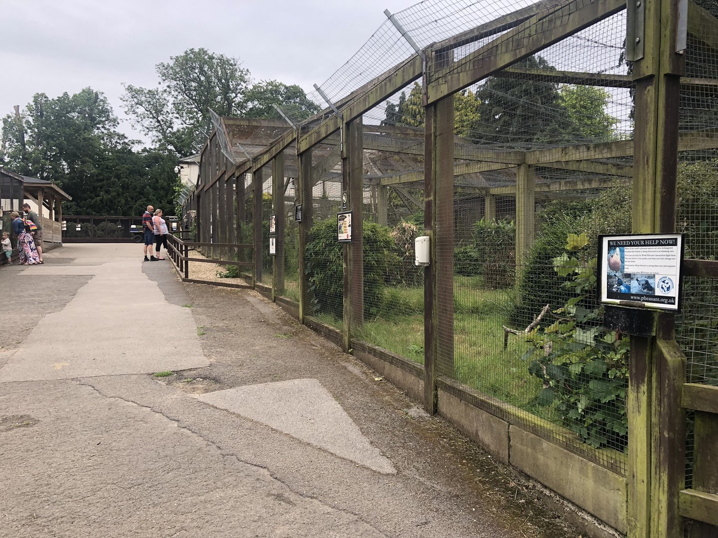 Pheasant Aviaries at Sewerby Zoo (June 2023)