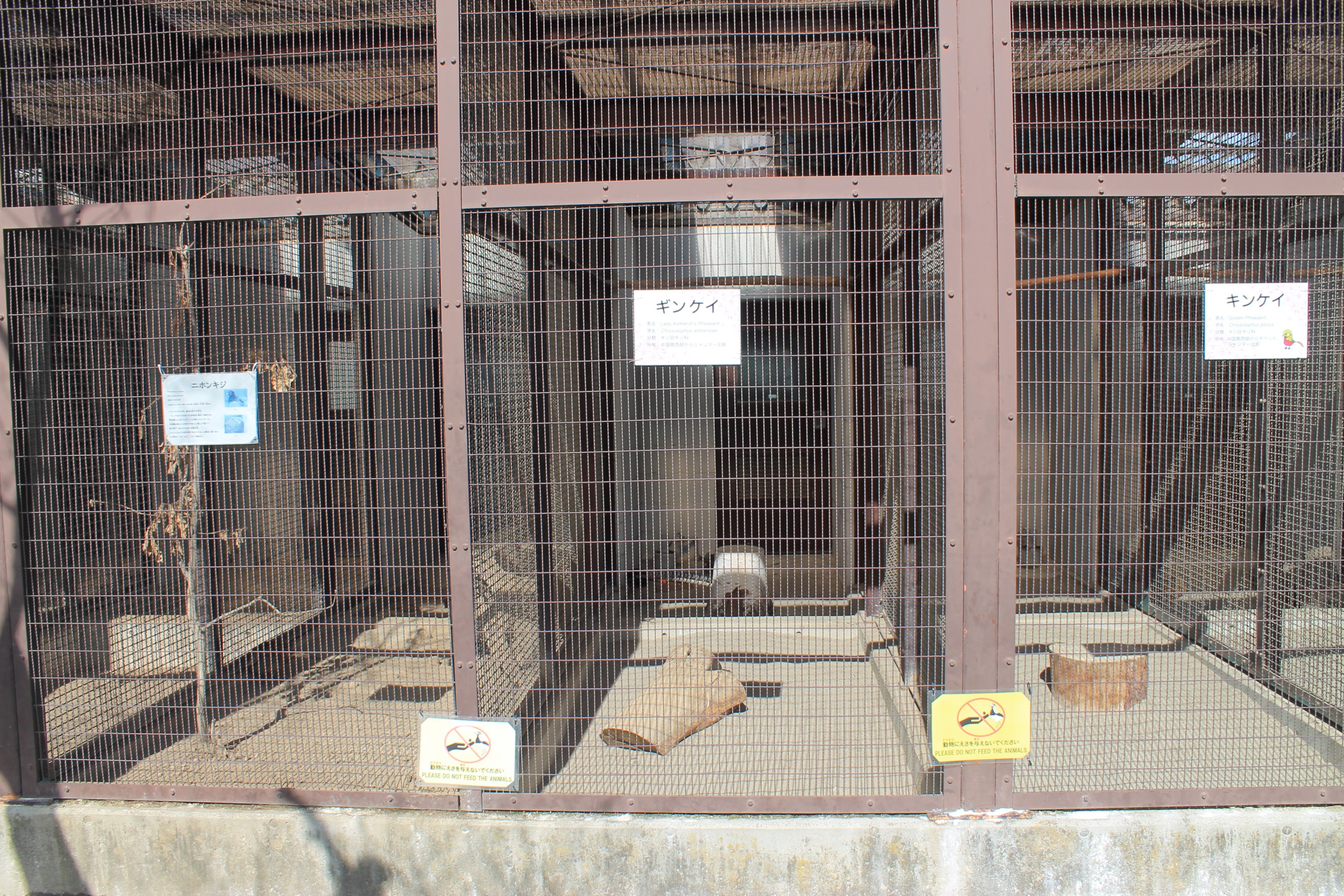 Pheasant aviaries, Joyama Zoo