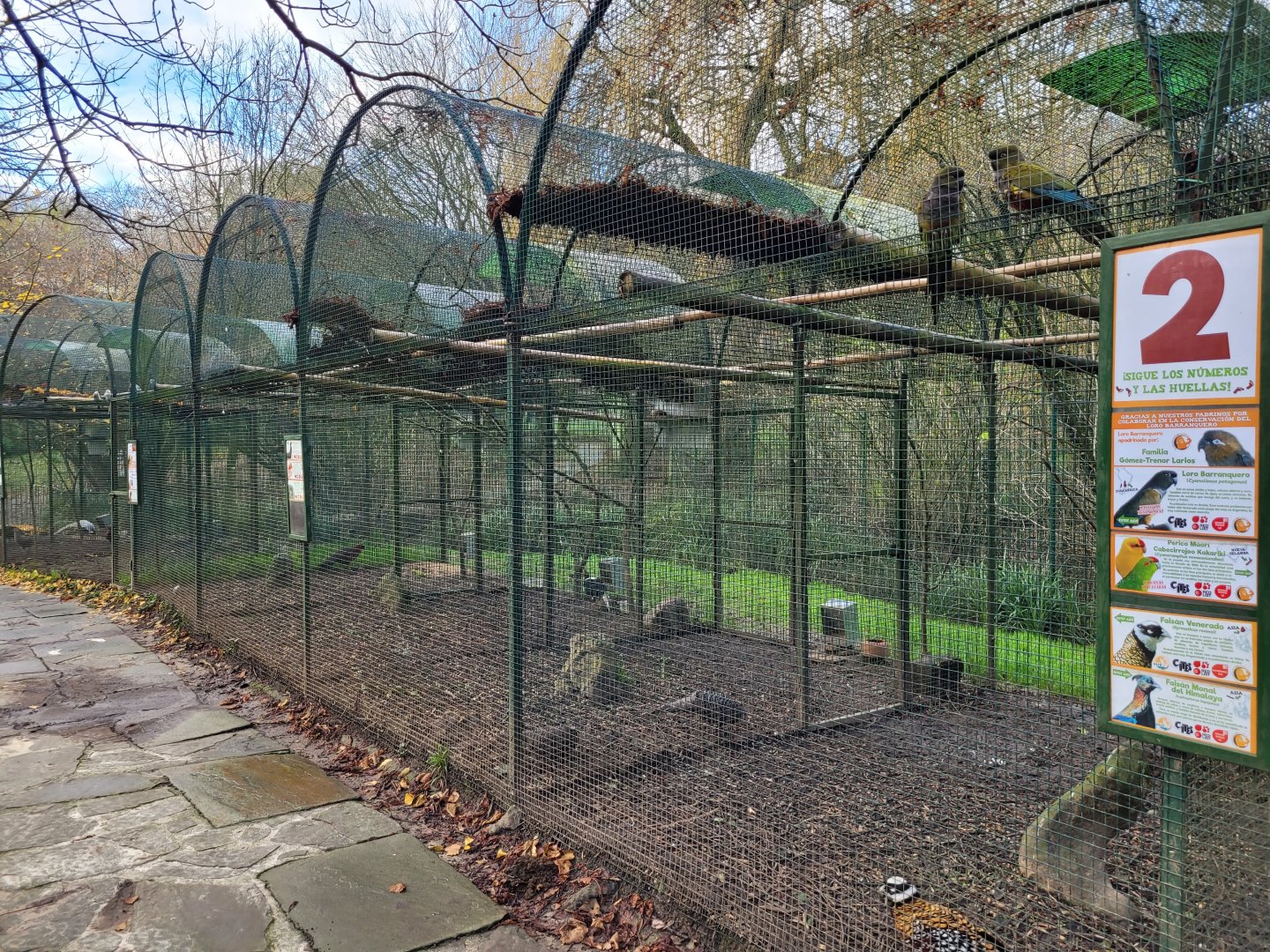 Pheasant aviaries -Zoo de Santillana del Mar (2023)