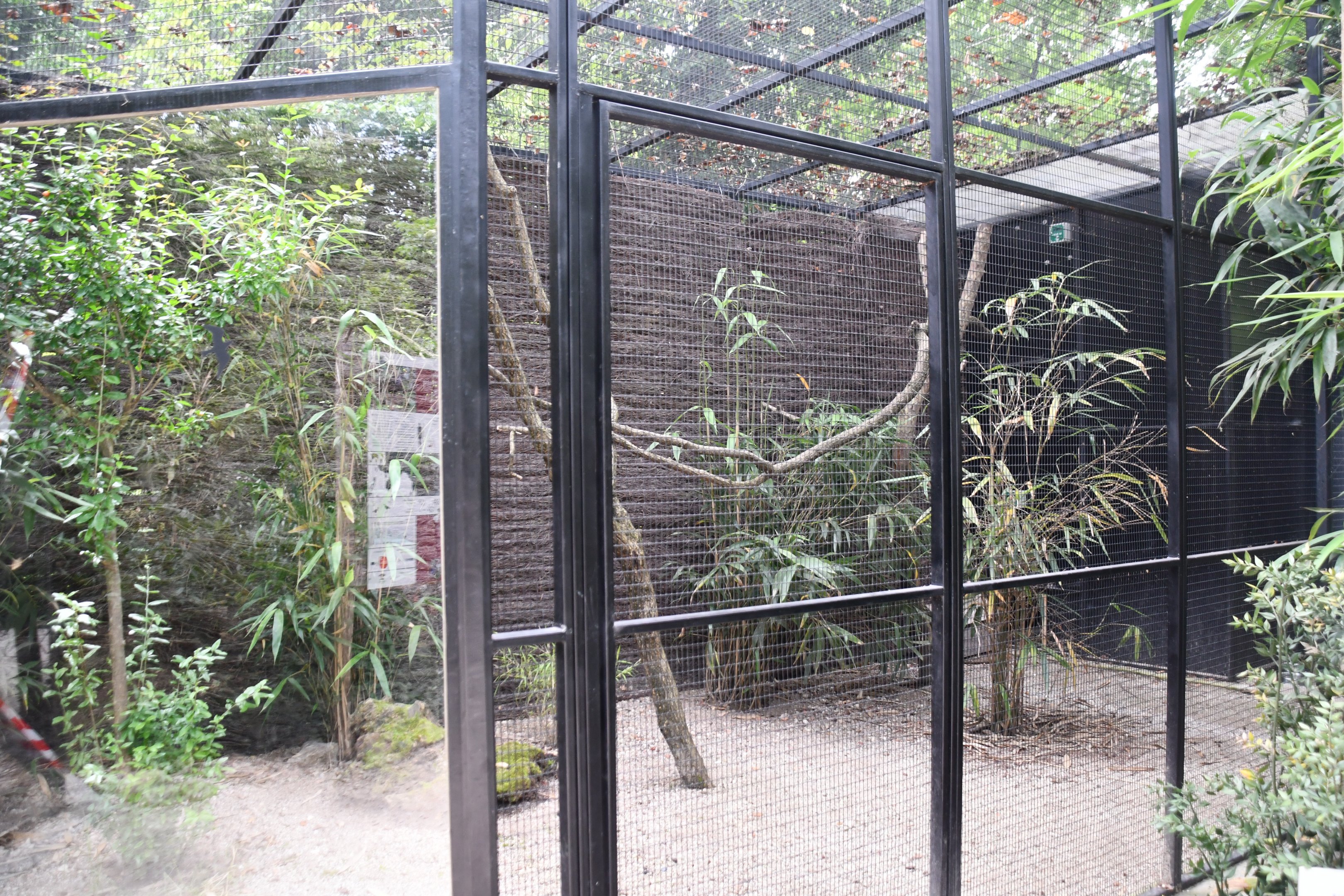 Pheasant aviaries