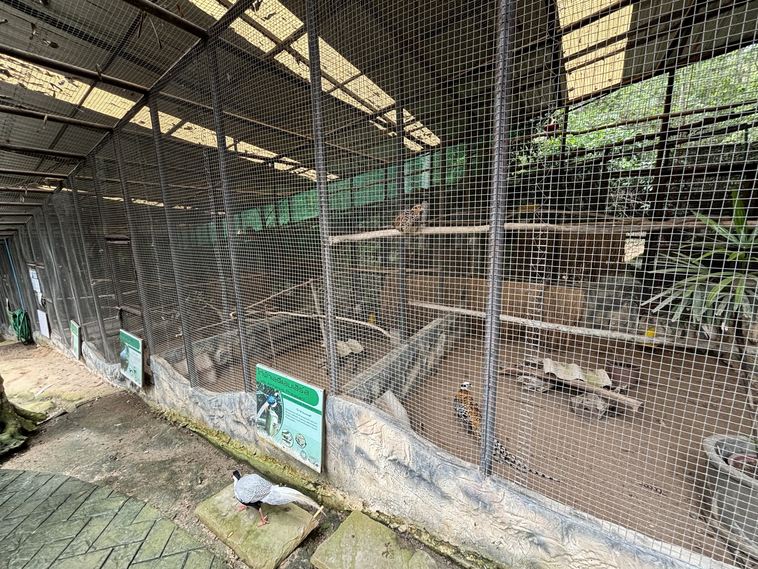 Pheasant Aviaries
