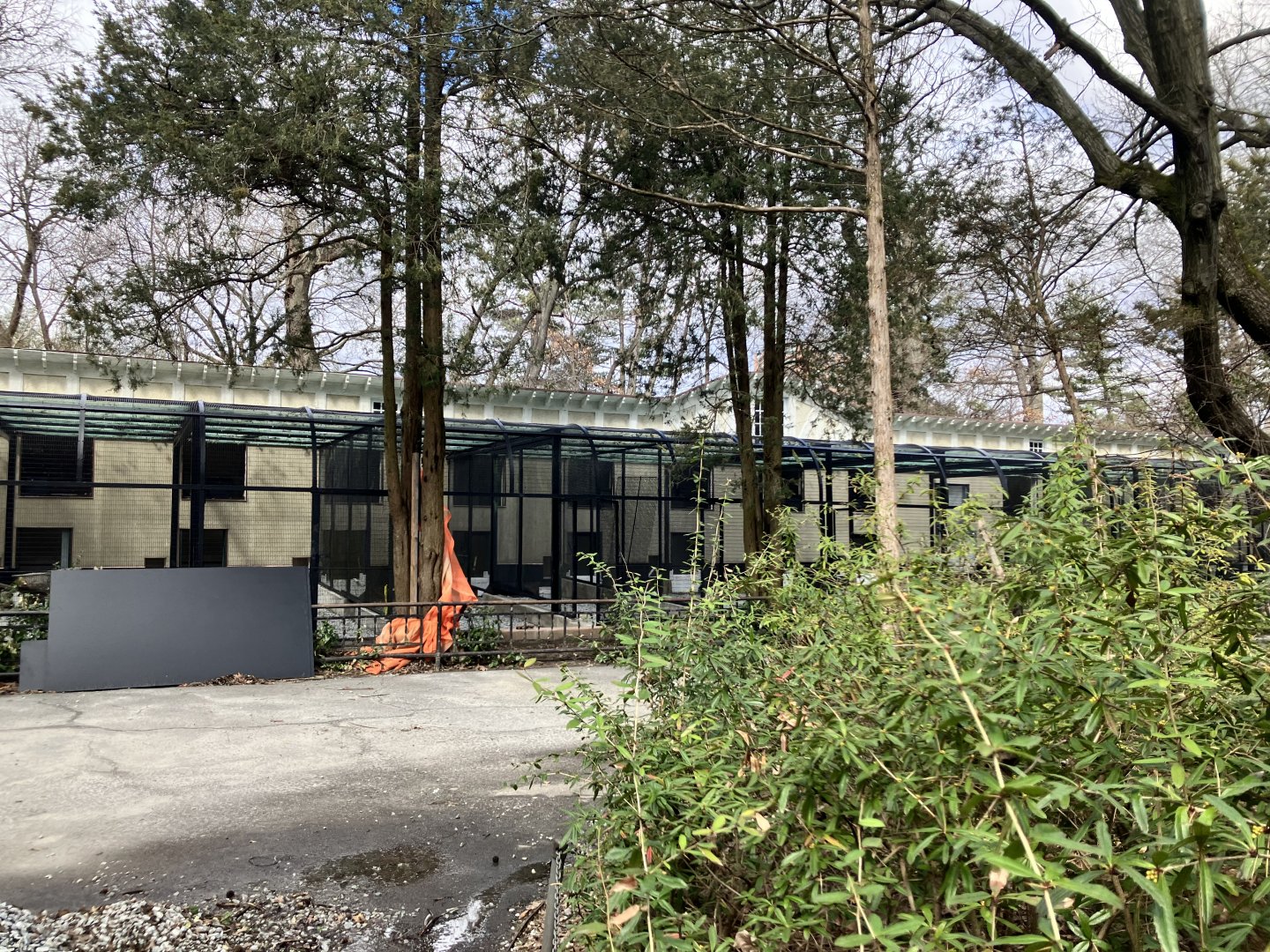 Pheasant Aviary Construction