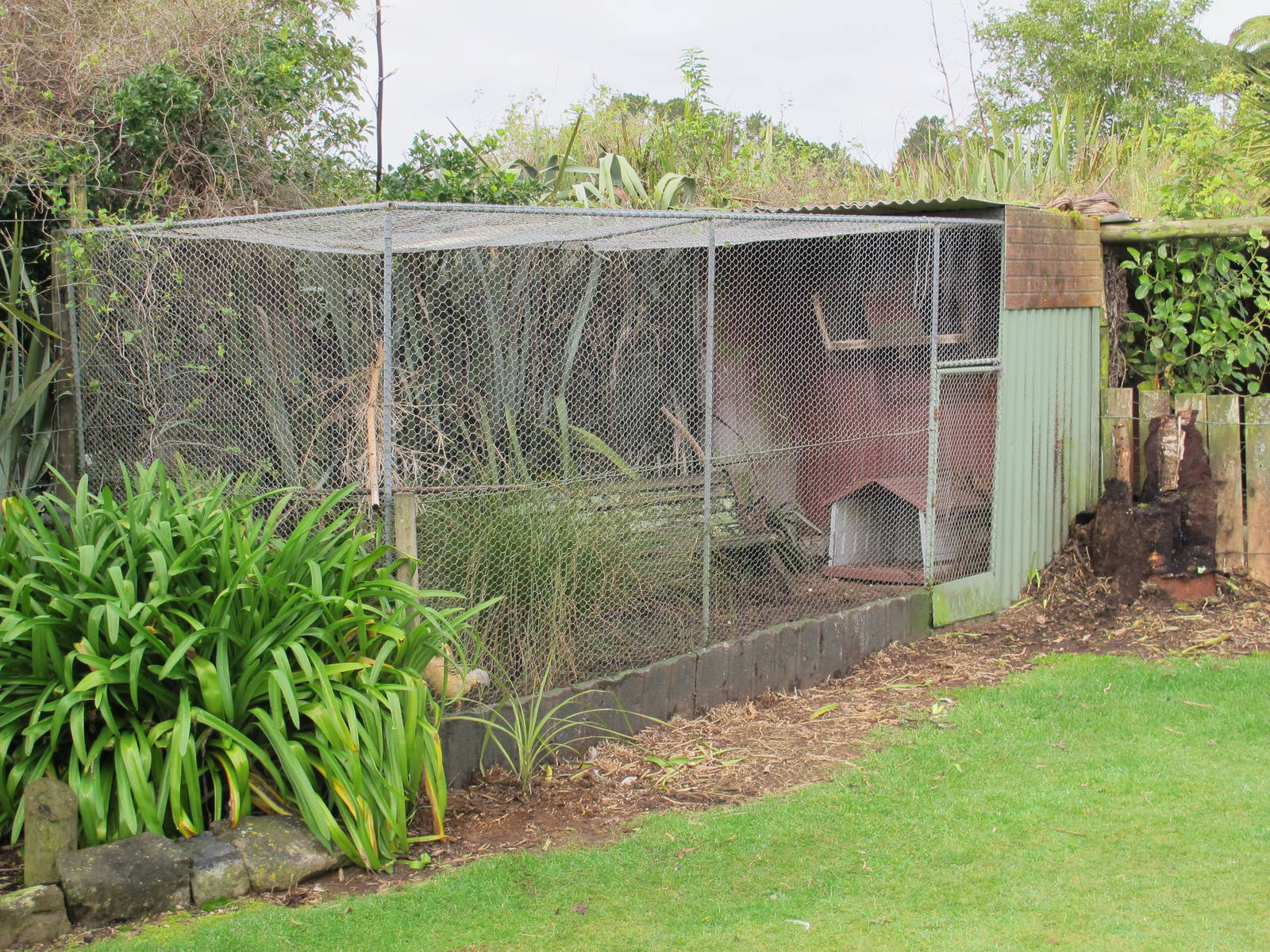 Pheasant Aviary - Pouakai Zoo