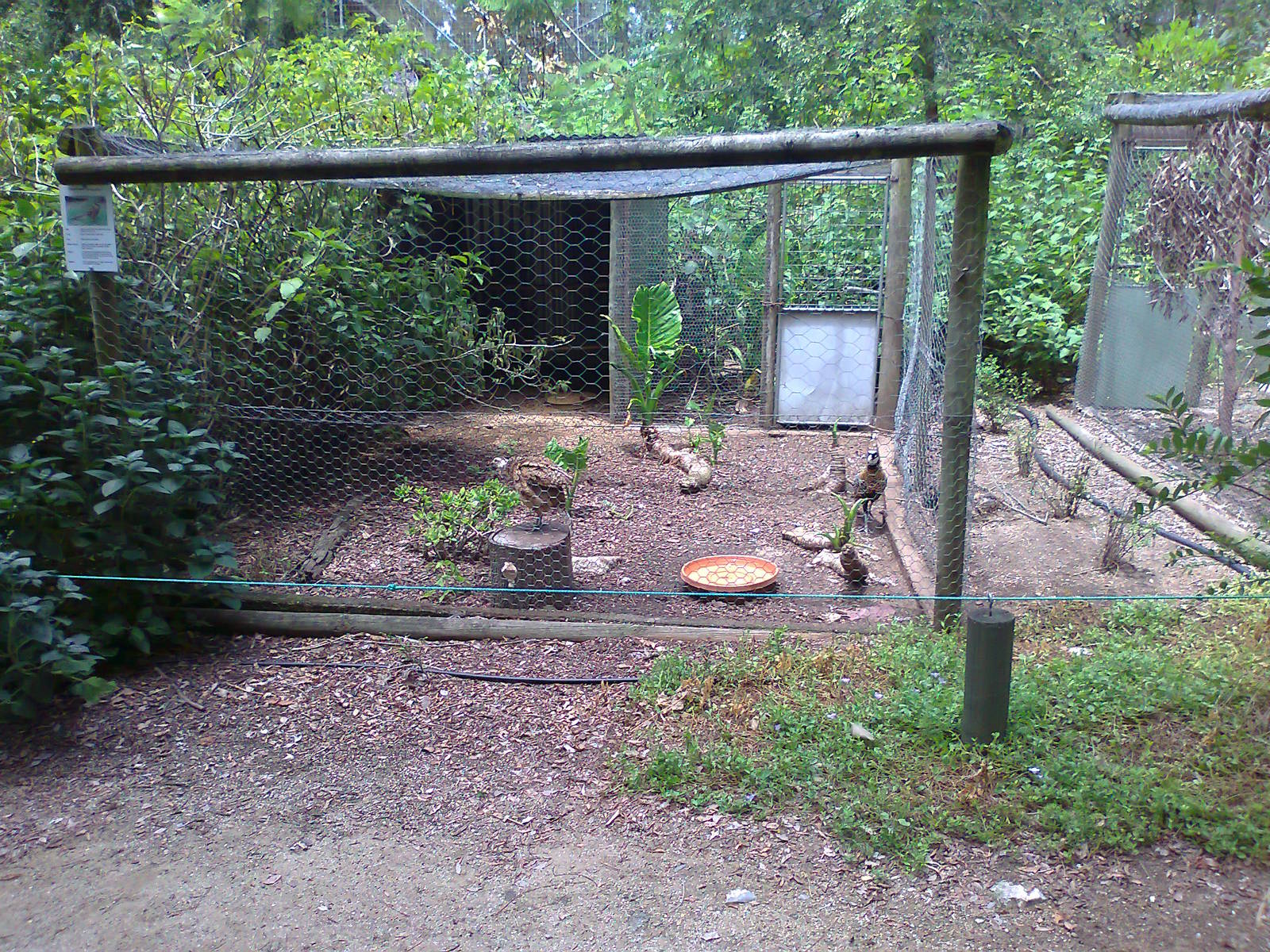 Pheasant aviary