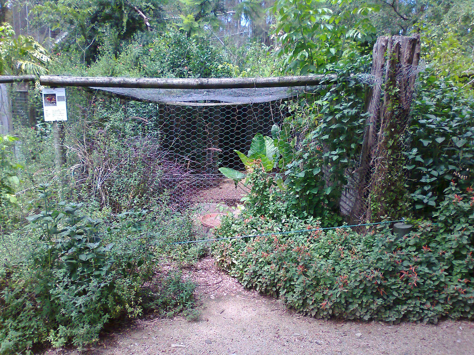 Pheasant aviary