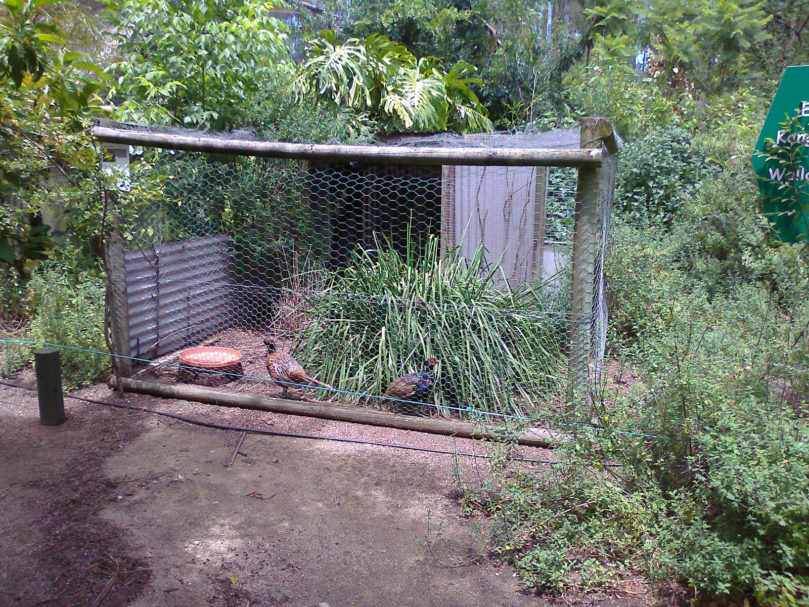 Pheasant aviary