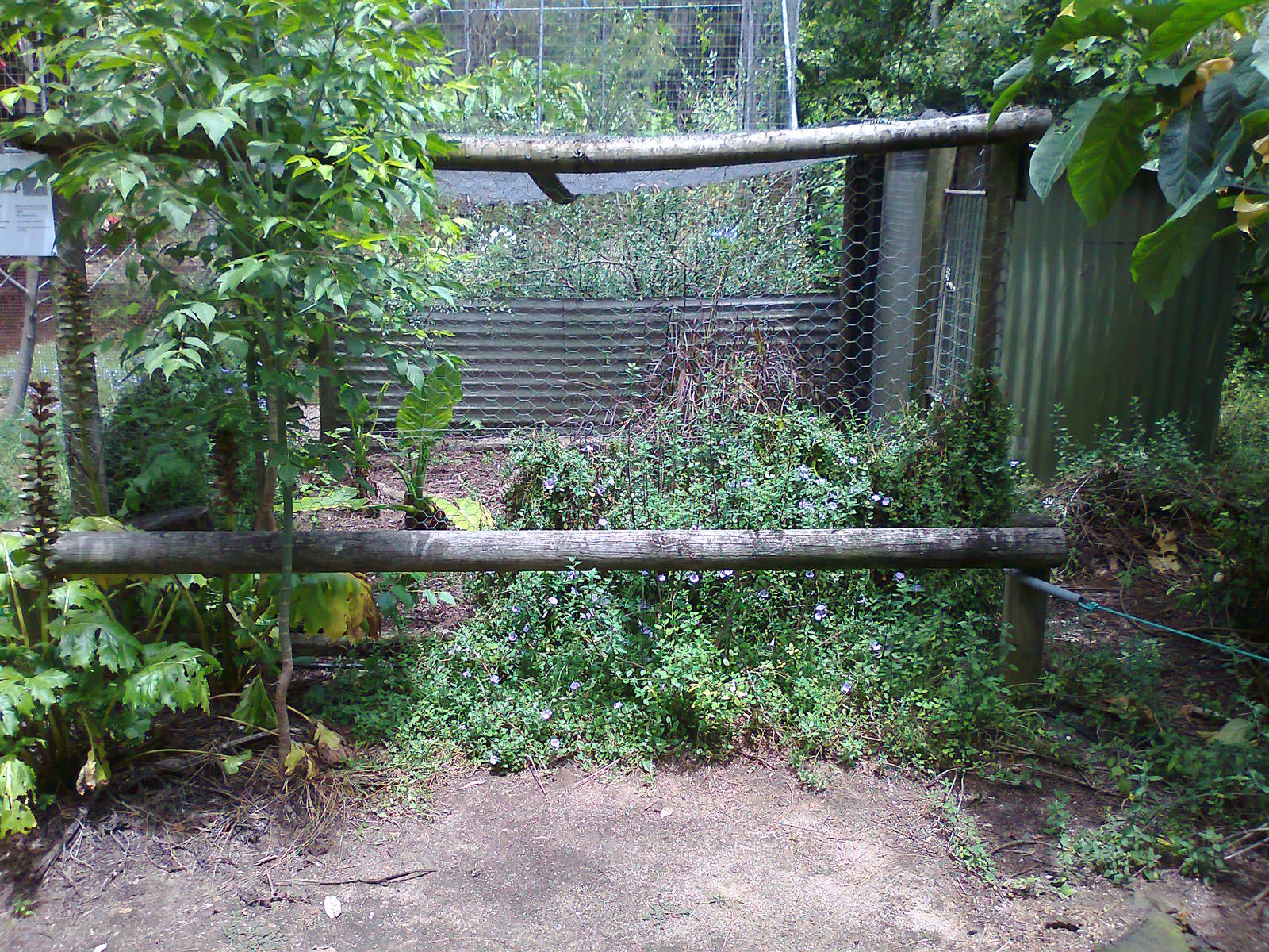 Pheasant aviary