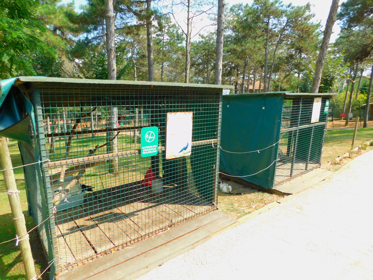 Pheasant cages at Park Of Istanbul
