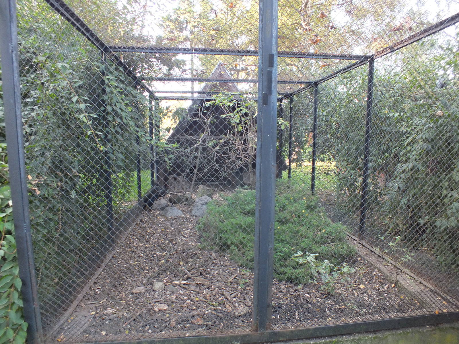 Pheasant enclosure example