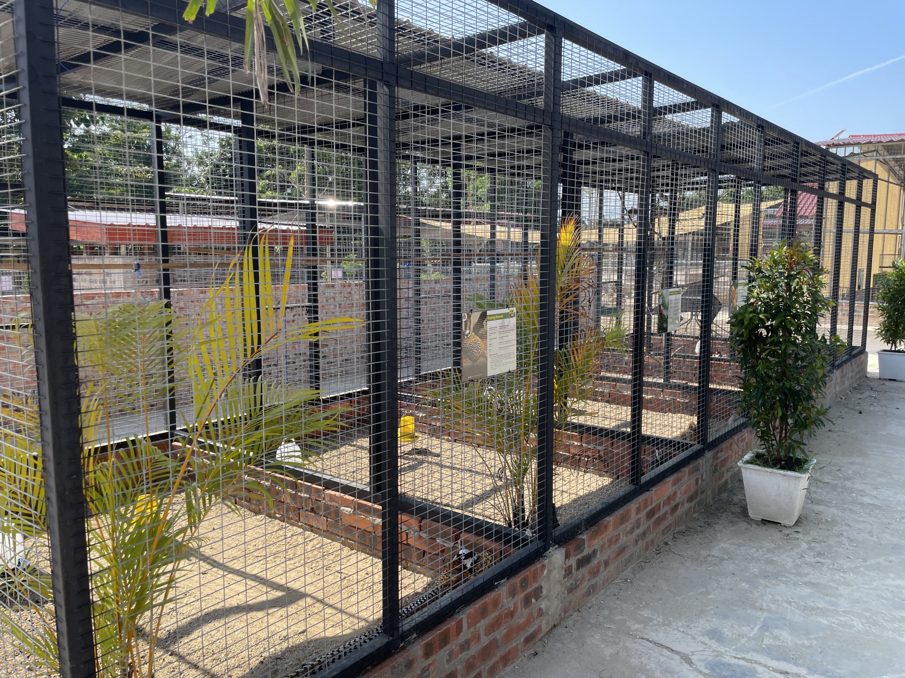 Pheasant Enclosures