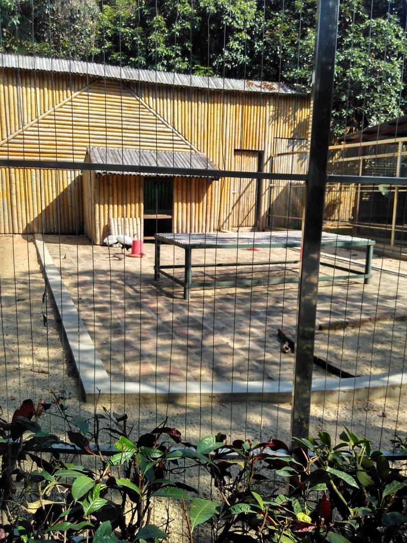 Pheasant exhibit
