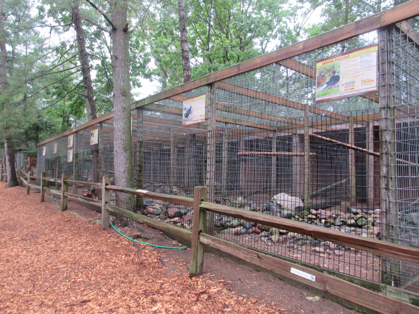 Pheasant Exhibits
