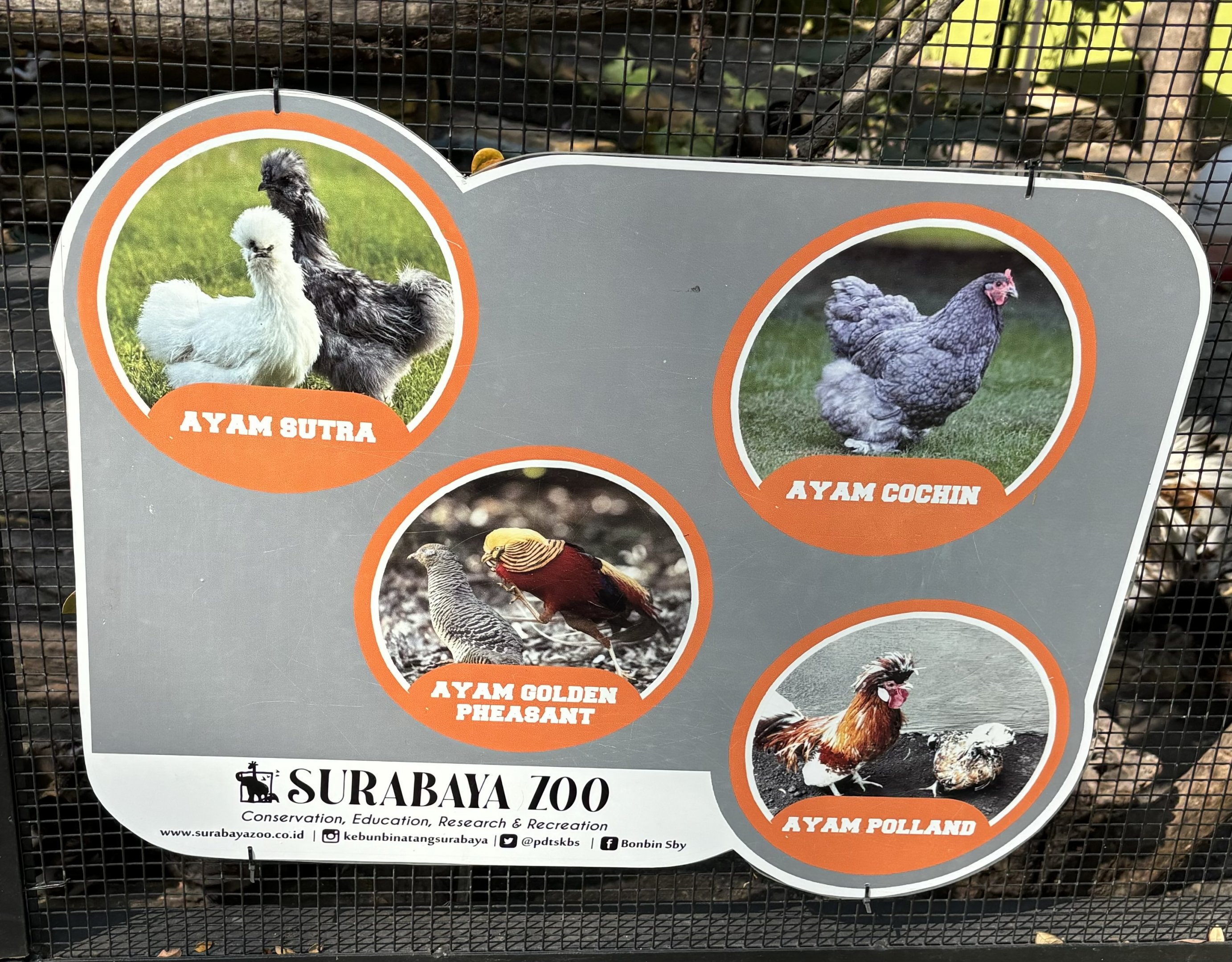 Pheasant + Fowl Aviary