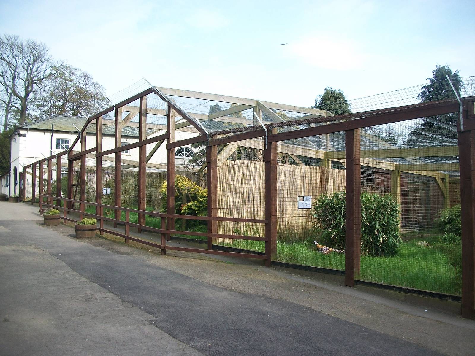 Pheasant pens and Lemur Land, 4th May 2014