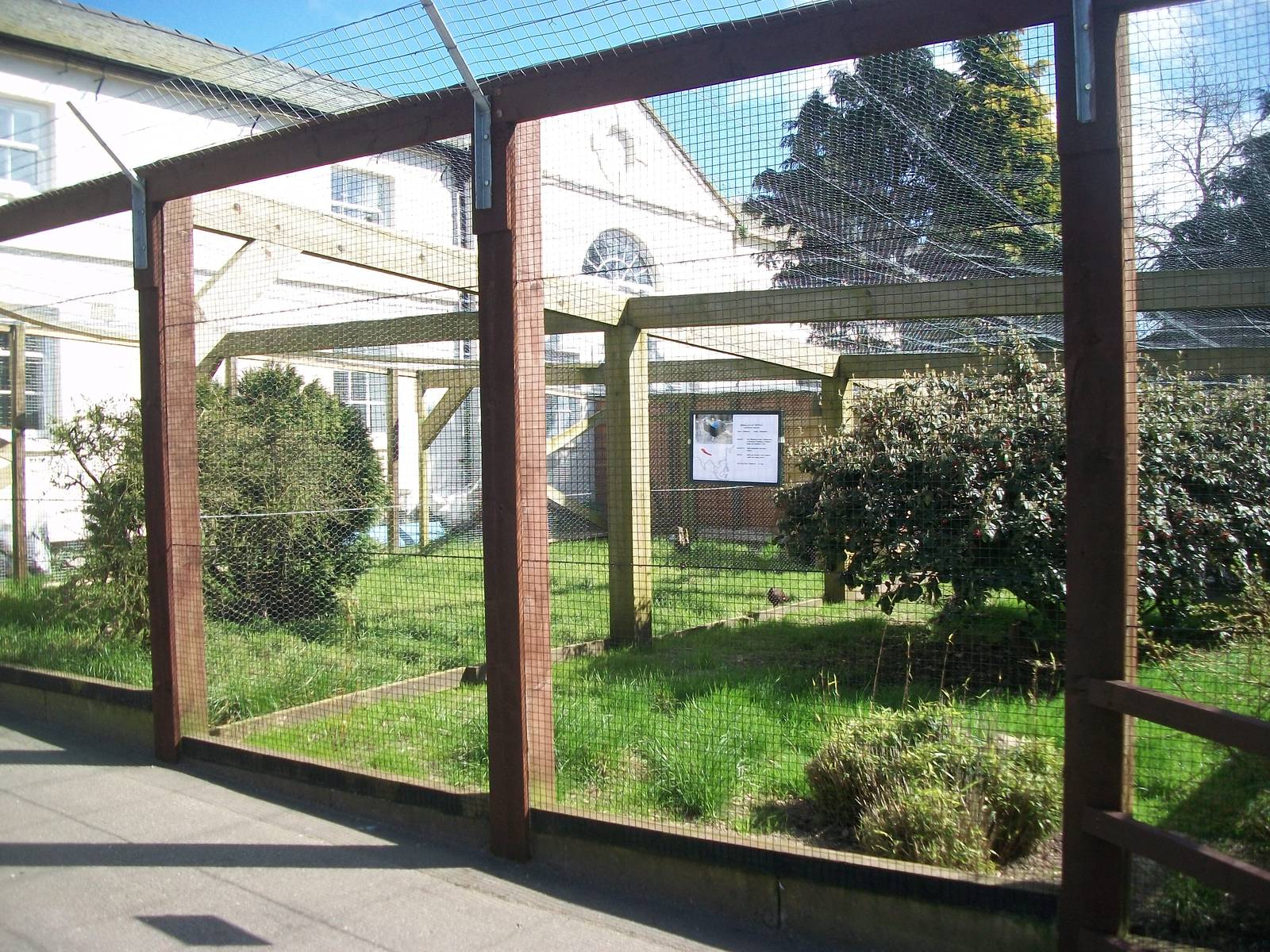 Pheasant pens occupied again, 18th April 2014