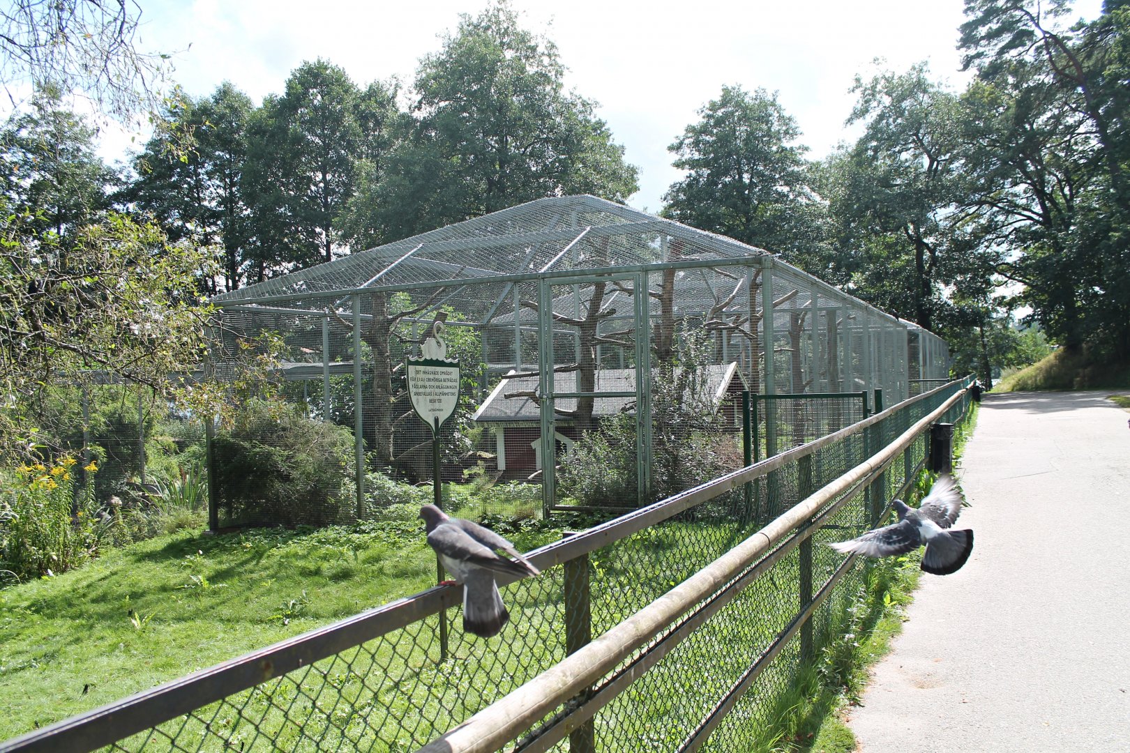 Pheasant & waterfowl aviary