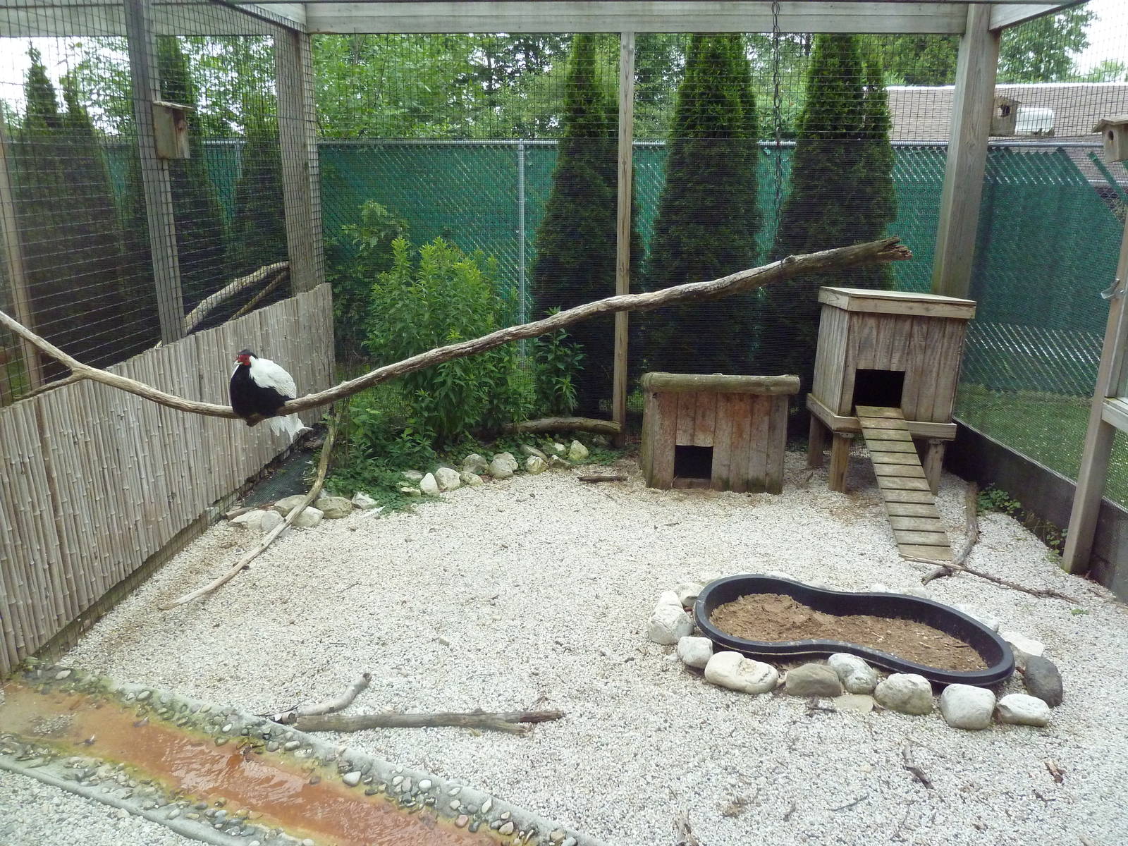 Pheasantry (3 Exhibits)