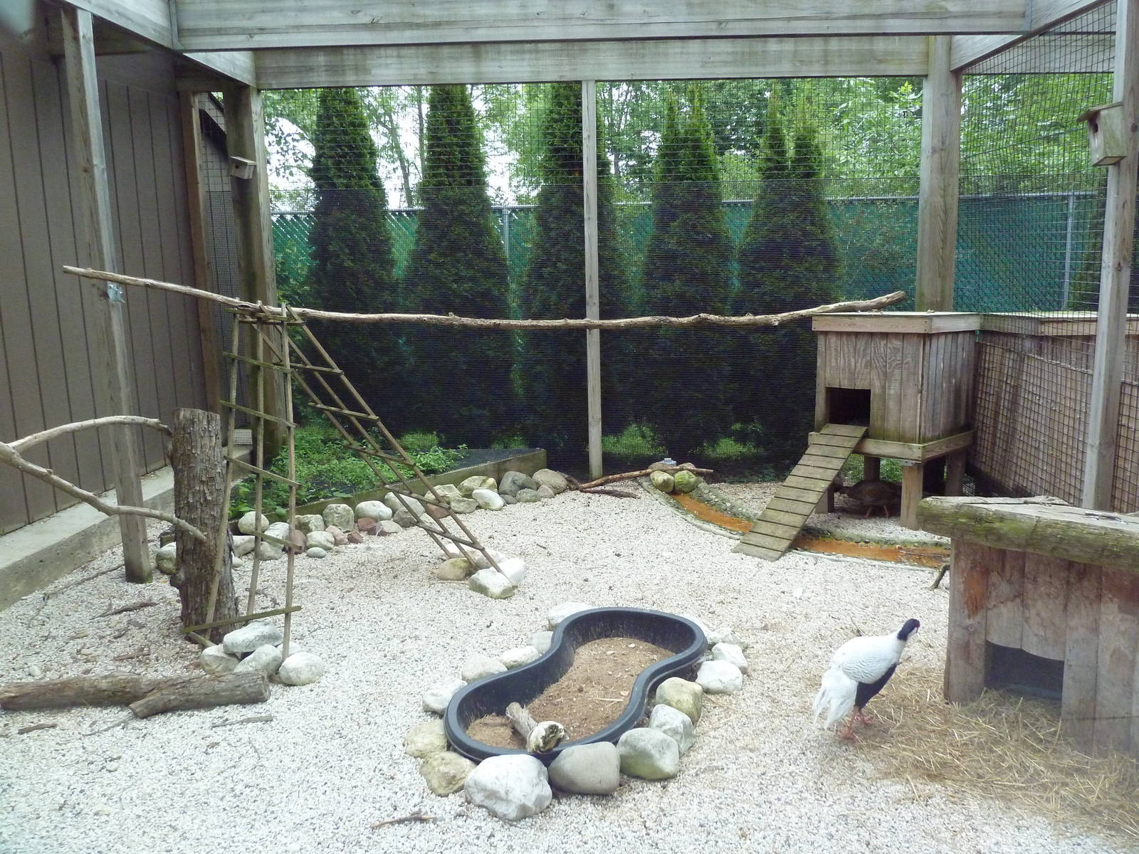 Pheasantry (3 Exhibits)