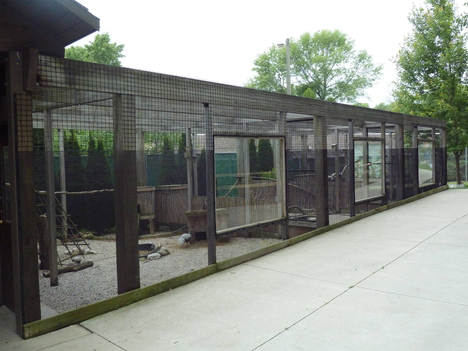 Pheasantry (3 Exhibits)