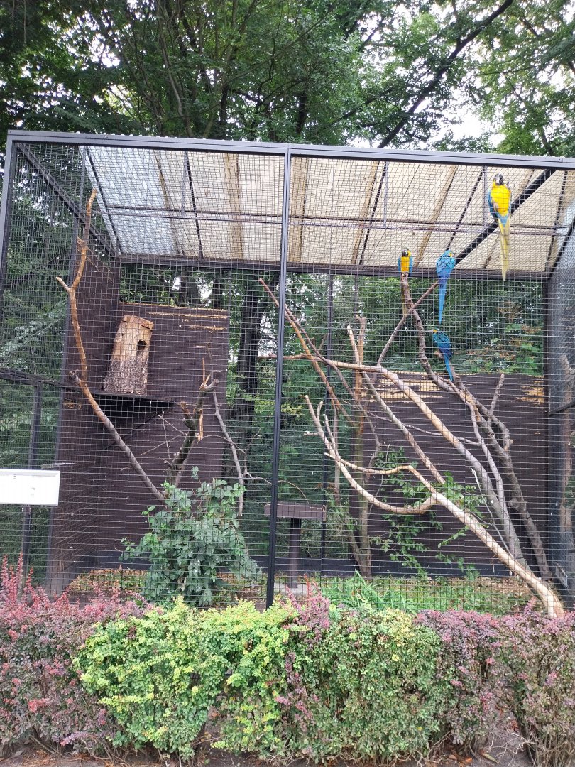 Pheasantry - Araruna aviary